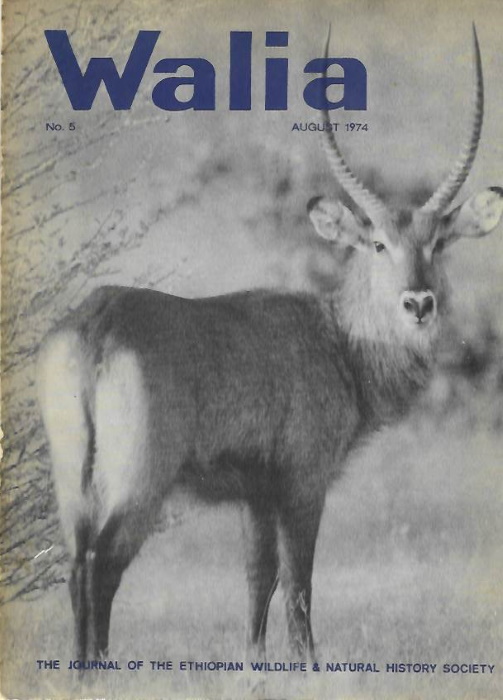  - Walia : The Journal of the Ethiopian Wildlife & Natural History Society no.5