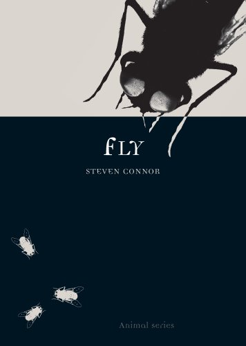 Connor, S. - Fly