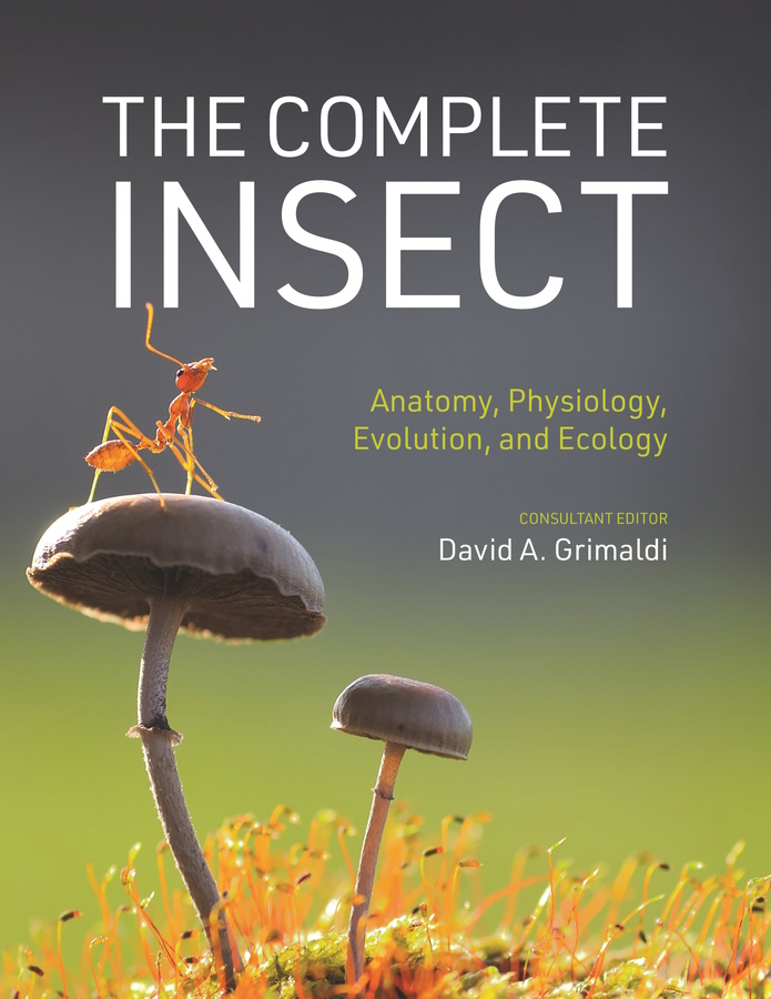 Grimaldi, D.A. (Ed.) - The Complete Insect: Anatomy, Physiology, Evolution, and Ecology