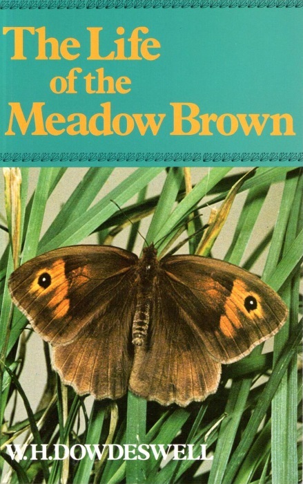 Dowdeswell, W.H. - The Life of the Meadow Brown