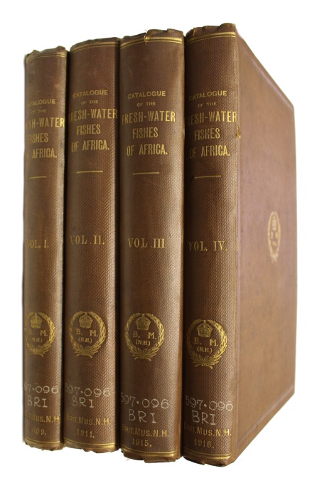 book microsoft