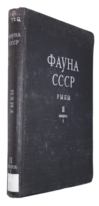 Svetovidov, A.N. - Fauna USSR: Fish Vol. II Pt 1: Clupeidae