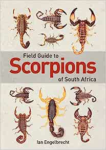 Engelbrecht, I. - Field Guide to Scorpions of South Africa