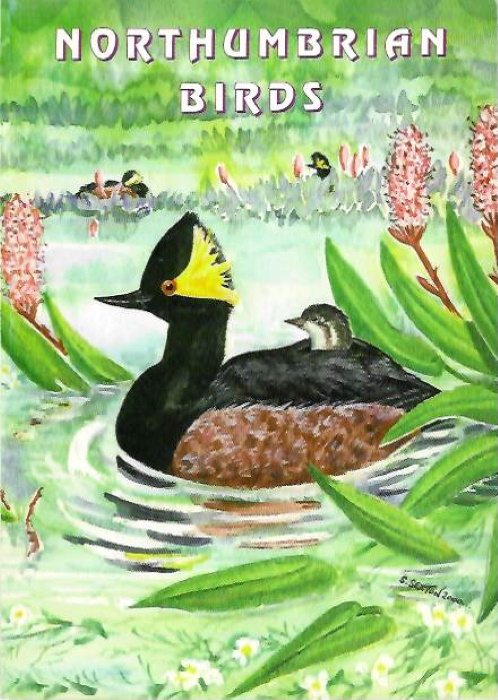 Kerr, I. - Northumbrian Birds: Their history and status up to the 21st Century