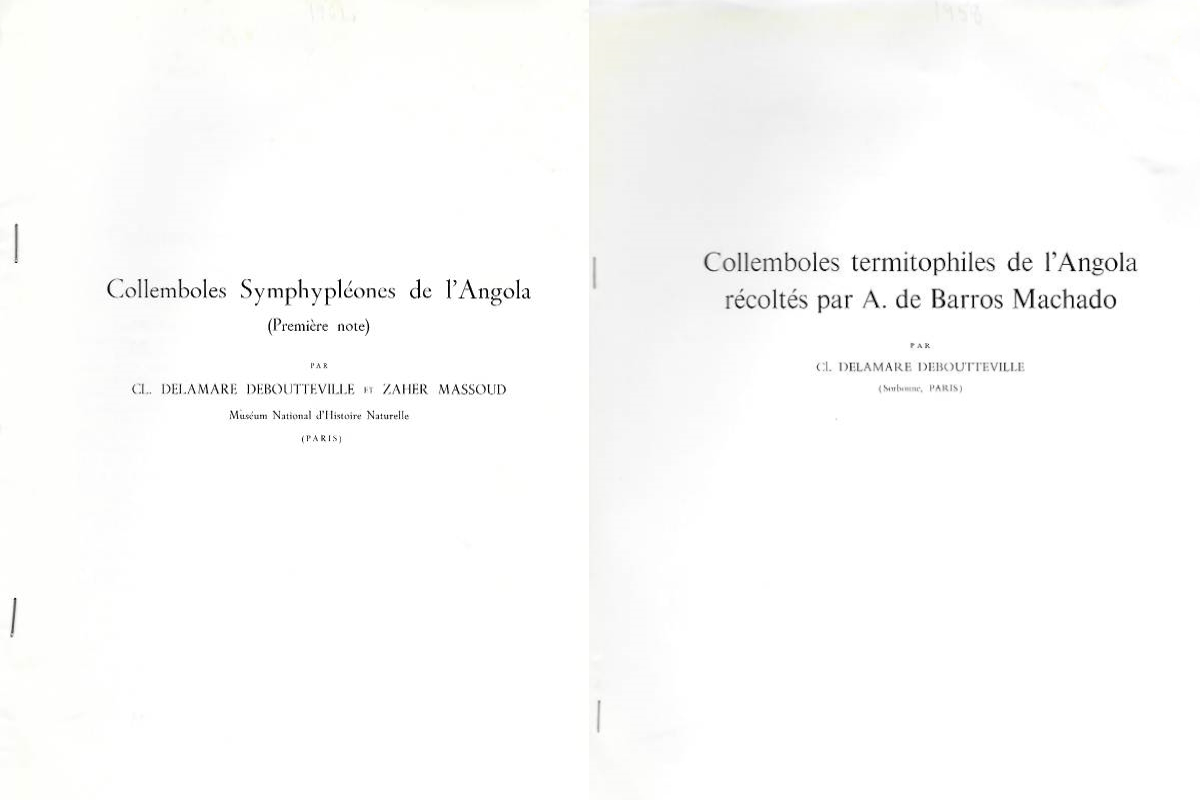Delamare Deboutteville, C. ; Massoud, Z. - Collemboles termitophiles de l'Angola rcolts par A. de Barros Machado [with] Collemboles Symphyplones de l'Angola (Premire note)