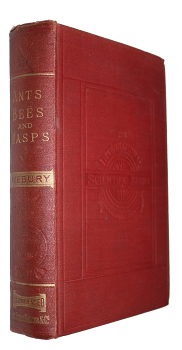 Lubbock, J. [Lord Avebury] - Ants, Bees, and Wasps