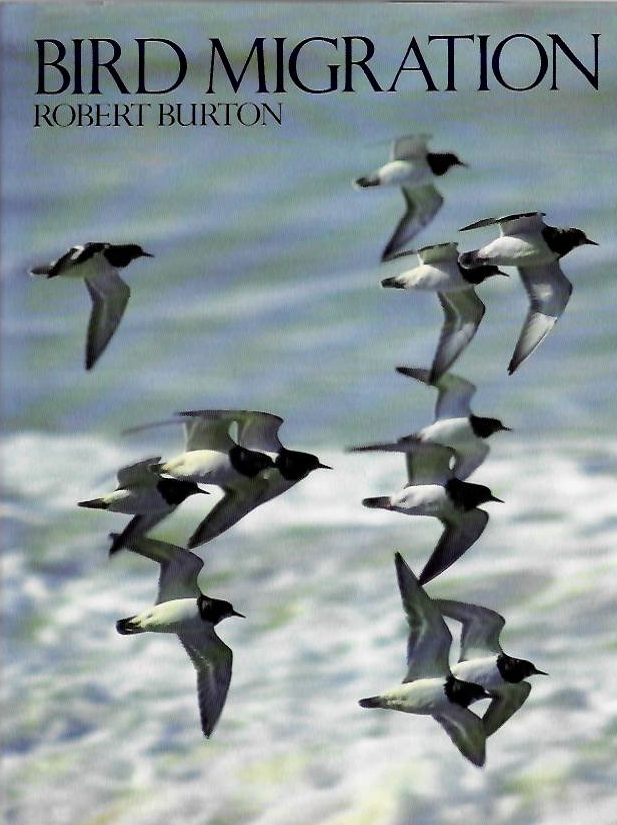 Burton, R. - Bird Migration
