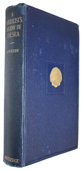 Sowerby, A.D.C. - A Naturalist's Holiday by the Sea