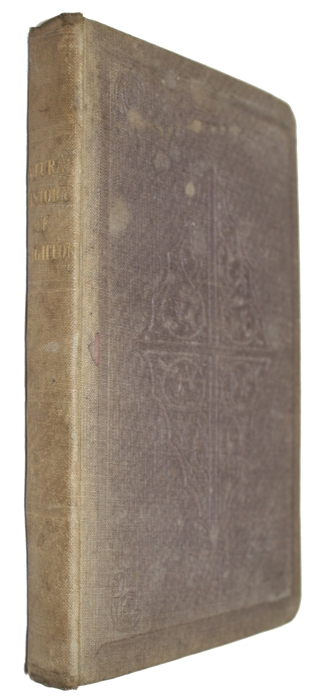 Merrifield, Mrs [Mary Philadelphia] - A Sketch of the Natural History of Brighton and its Vicinity