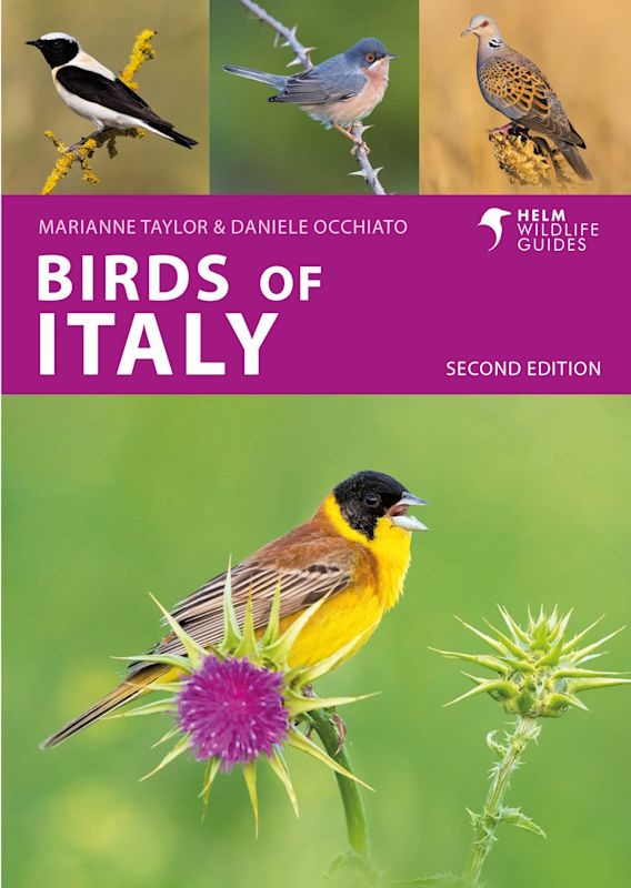 Occhiato, D; Taylor, M. - Birds of Italy