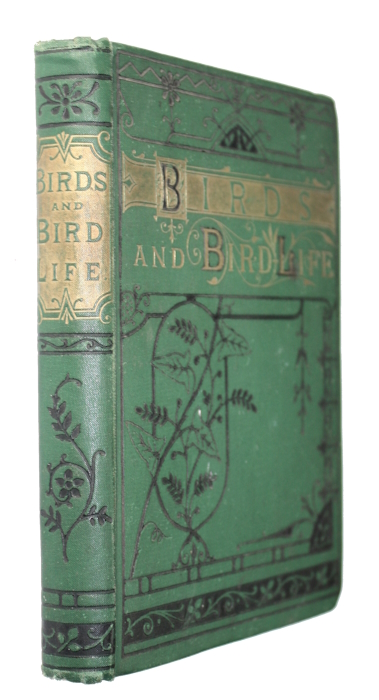 Buckland, F.T.; Martin, W.C.L.; Kidd, W. - Birds and Bird-Life