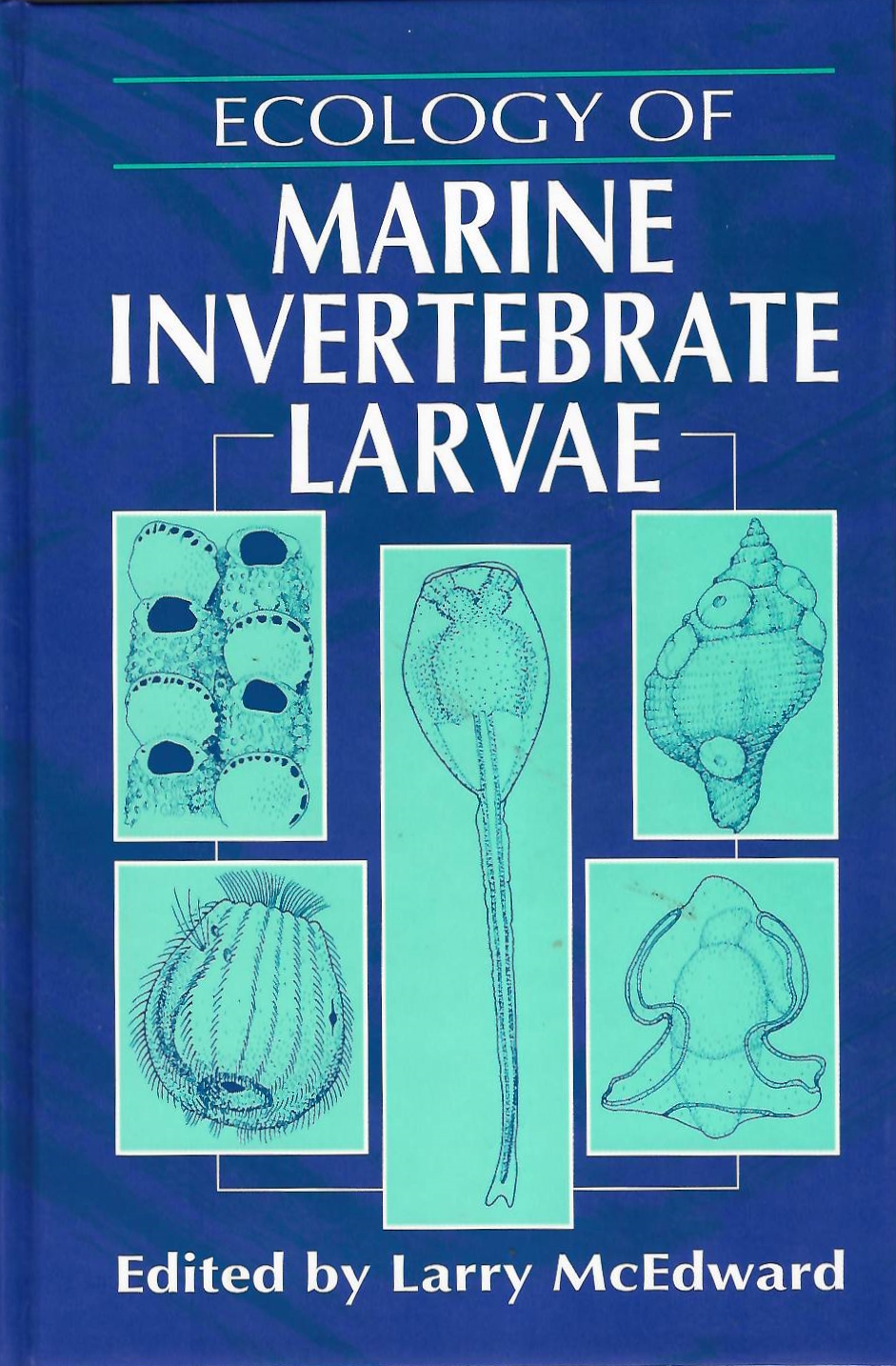 McEdward, L. - Ecology of Marine Invertebrate Larvae