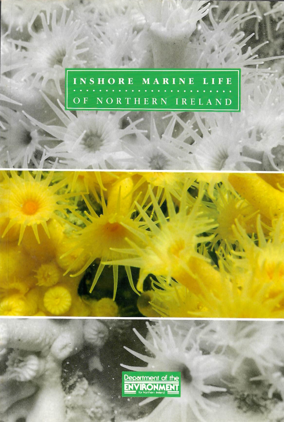 Erwin, D.G.; Picton, B.E.; Connor, D.W.; Howson, C.M.; Gilleece, P.; Bouges, M.J. - Inshore Marine Life of Northern Ireland