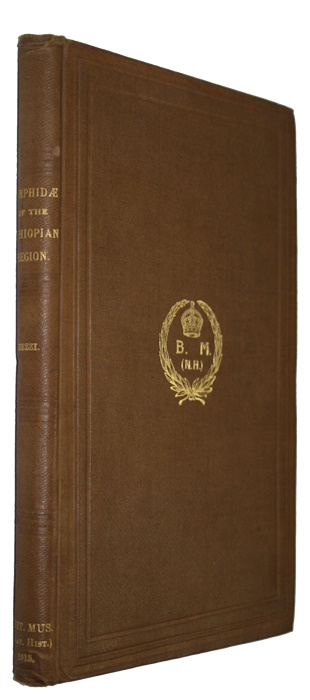 Bezzi, M. - The Syrphidae of the Ethiopian Region: based on material in the collection of the British Museum (Natural History), with descriptions of new genera and species