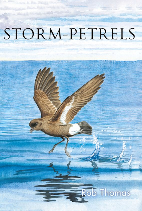 Thomas, R. - Storm-petrels