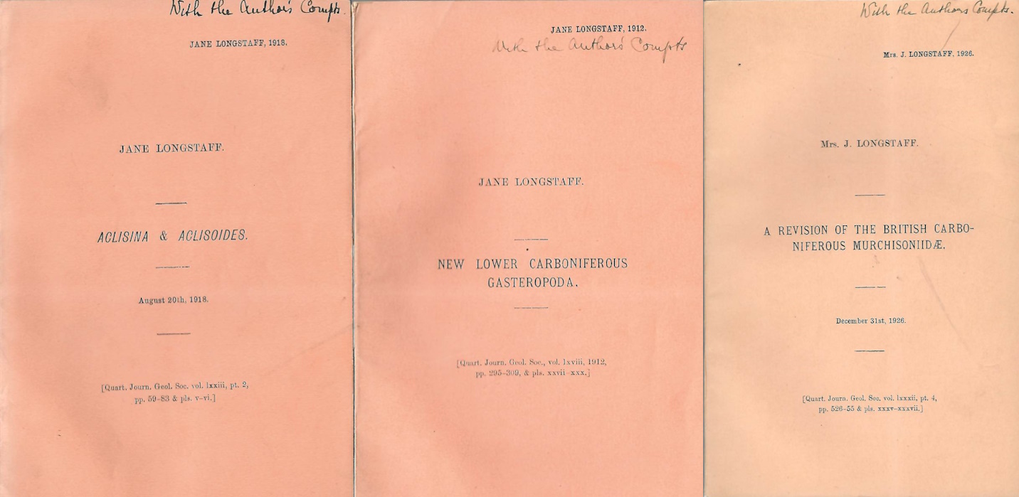 Longstaff, Jane - New lower Carboniferous Gasteropoda / Aclisina & Aclisoides / A Review of the British Carboniferous Murchisoniidae