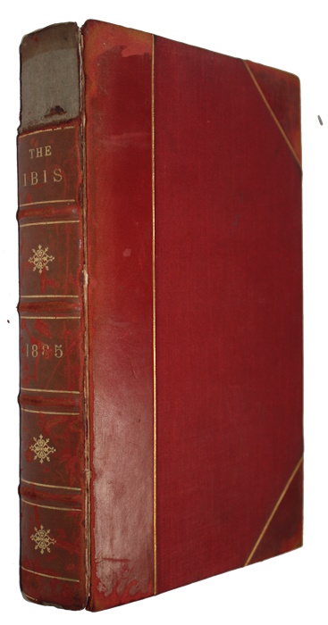 Sclater, P.L.; Saunders, H. (Eds) - The Ibis: A Quarterly Journal of Ornithology. Fifth Series, Vol. III [Vol. 27]