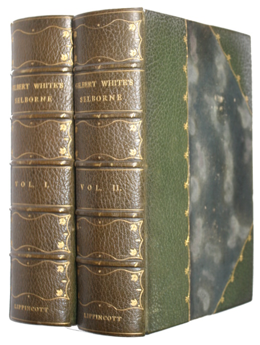 White, Gilbert; Sharpe, R. Bowdler (Ed.) - The Natural History and Antiquities of Selborne and A Garden Kalendar Vol. I-II