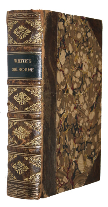 White, Gilbert; Jardine, William; Jesse, Edward - The Natural History of Selborne