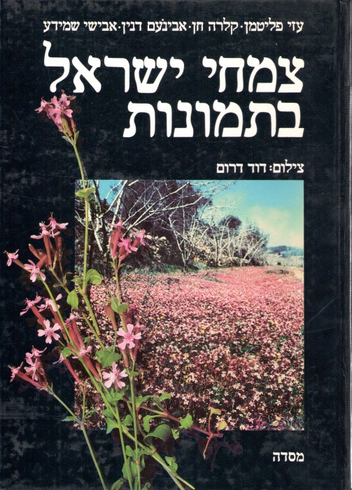 Plitmann, U.; Heyn, C.; Danin, A.; Shmida, A. - Pictorial Flora of Israel
