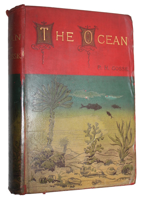 Gosse, P.H. - The Ocean