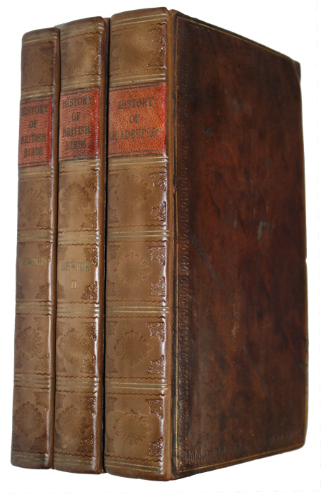 Bewick, Thomas - A General History of Quadrupeds [with] A History of British Birds. Vol. I-II