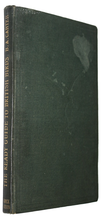 Carter, B.A. - The Ready Guide to British Birds