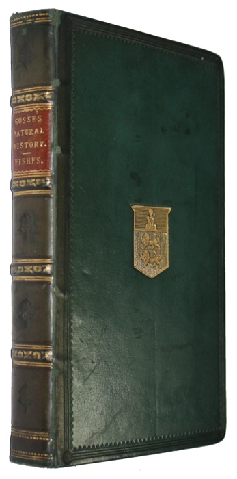 Gosse, P.H. - Natural History. Fishes.