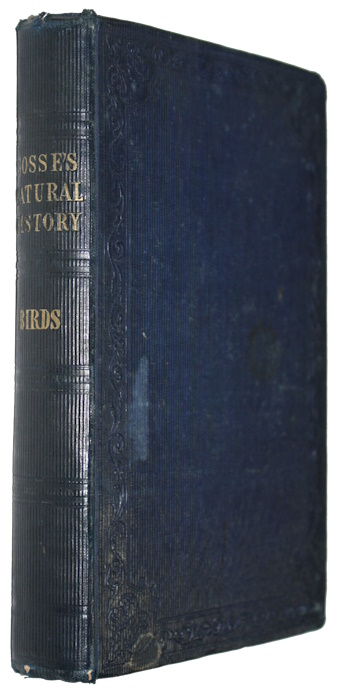 Gosse, P.H. - Natural History. Birds
