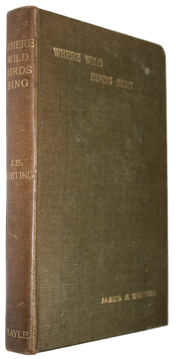 Whiting, J.E. - Where Wild Birds Sing: Notes of a Naturalist