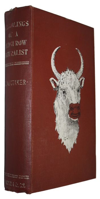 Whitaker, J. - Scribblings of a Hedgerow Naturalist