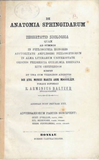 Baltzer, R.A. - De Anatomia Sphingidarum: Dissertatio Zoologica (Dissert. Resp. G. Fuelles, J. Berendes, H. Finzelberg)