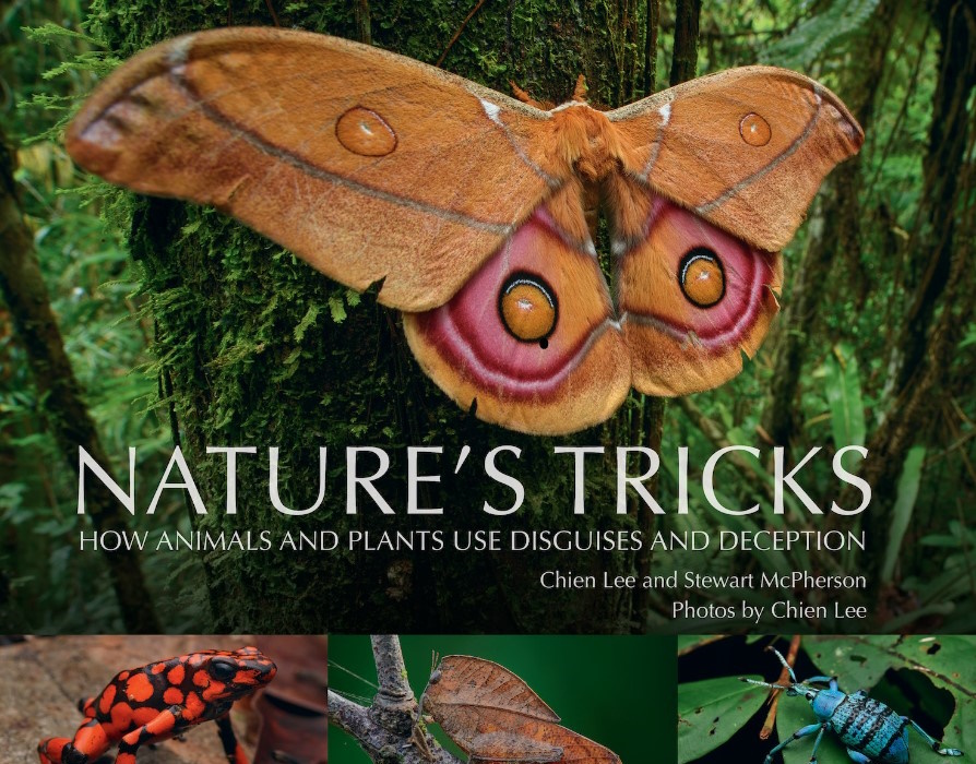 Lee, C.; McPherson, S. - Nature's Tricks