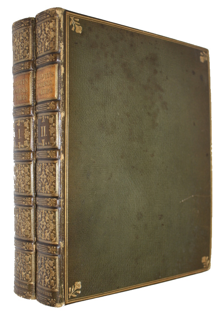 Walcott, John - Synopsis of British Birds [Vol. I-II]
