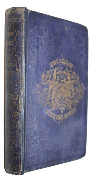 Jennings, C. - The Eggs of British Birds