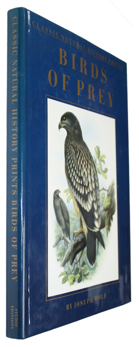 Dance, S.P.; Wolf, J. - Birds of Prey by Joseph Wolf (Classic Natural History Prints)