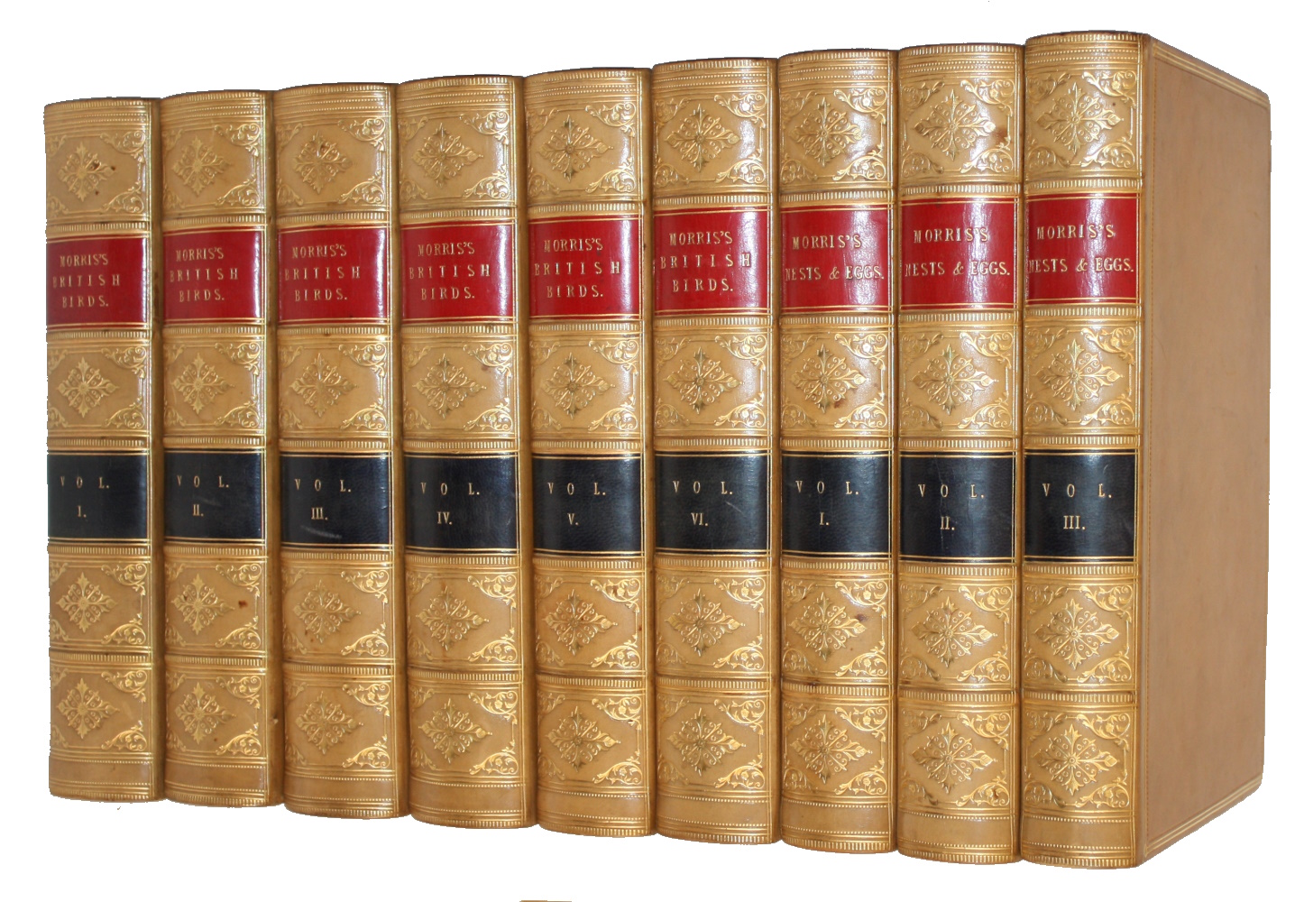 Morris, F.O. - A History of British Birds. Vol. I-VI [with] A Natural History of the Nests and Eggs of British Birds. Vol. I-III