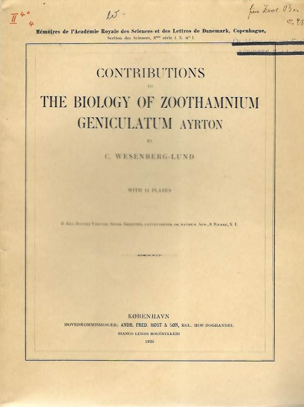 Wesenberg-Lund, C. - Contributions to the Biology of <i>Zoothamnium geniculatum</i> Ayrton