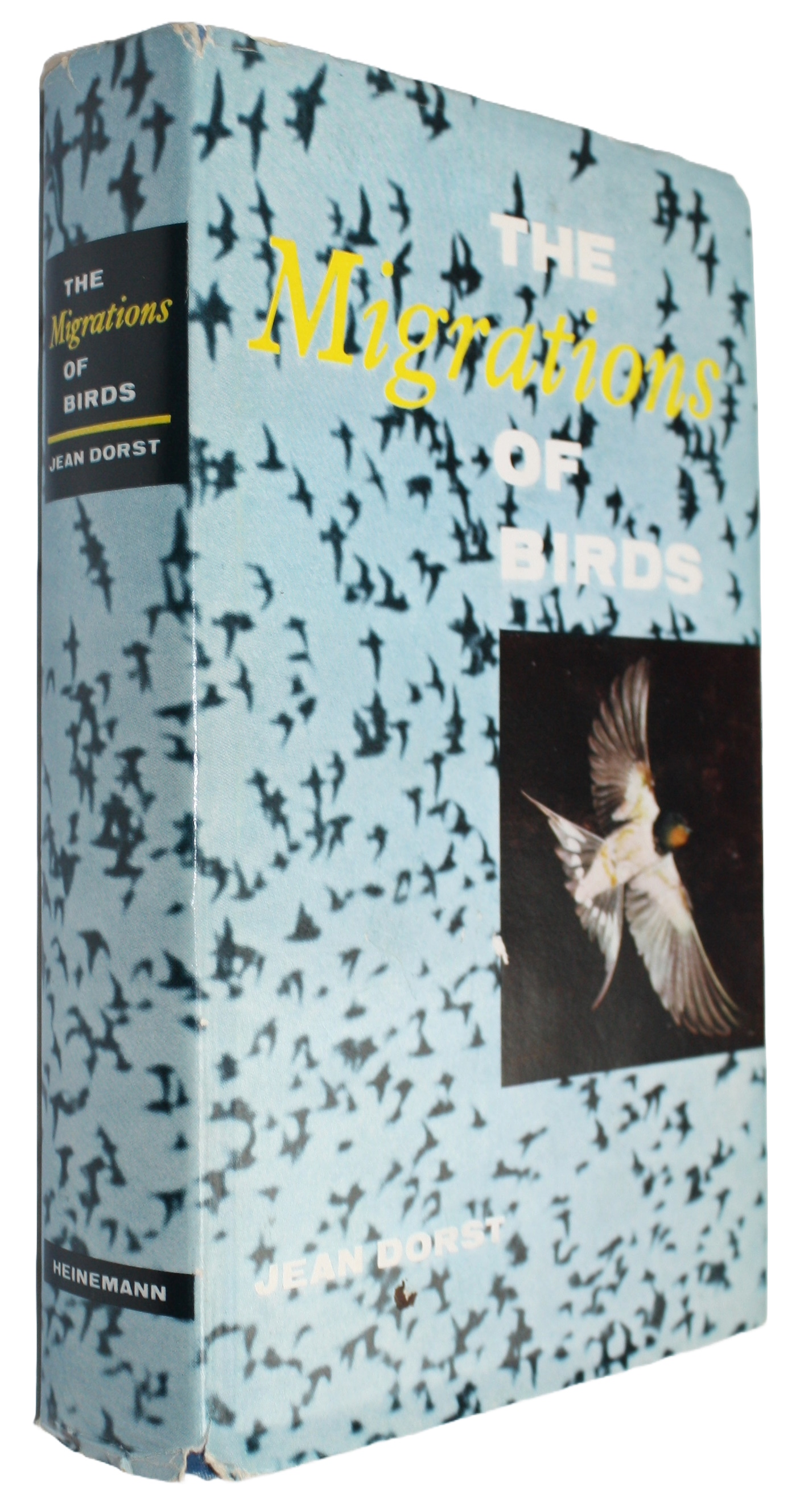 Dorst, J. - Migrations of Birds