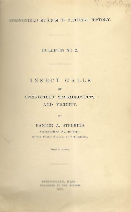 Stebbins, F.A. - Insect galls of Springfield, Massachusetts, and vicinity