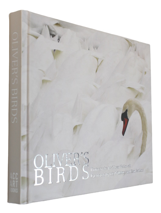 Hellowell, O. - Oliver's Birds