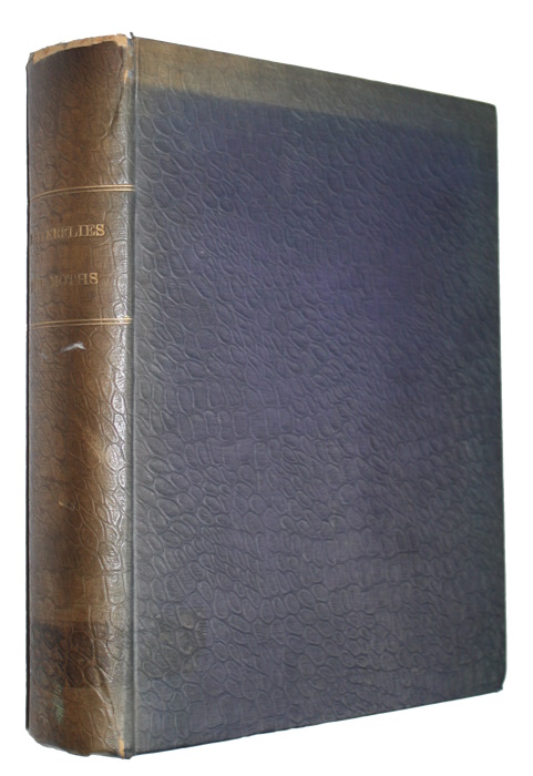 Kirby, W.F. - European Butterflies and Moths