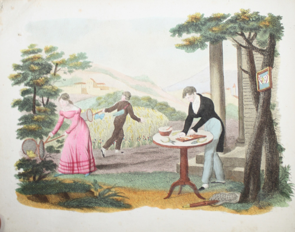 [Balland, Eugne Amde] - Les Papillons: leur histoire, la manire de leur faire la chasse et de les conserver; Ouvrage amusant et instructif, Orn de Figures reprsentant un choix des plus beaux Papillons d'Europe. Ddie  la Jeunesse