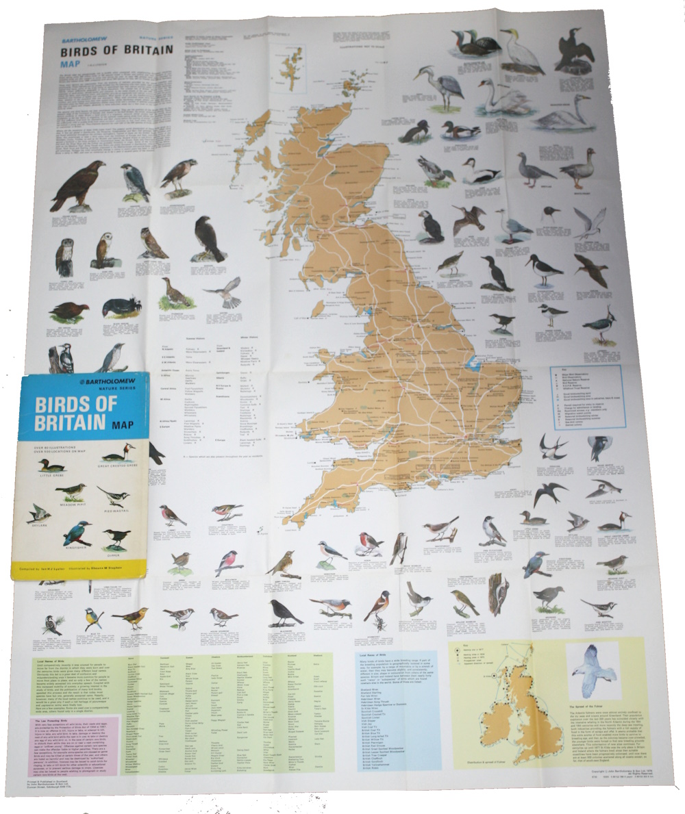 Lyster, I.H.J. - Birds of Britain Map (Bartholomew Nature Series)