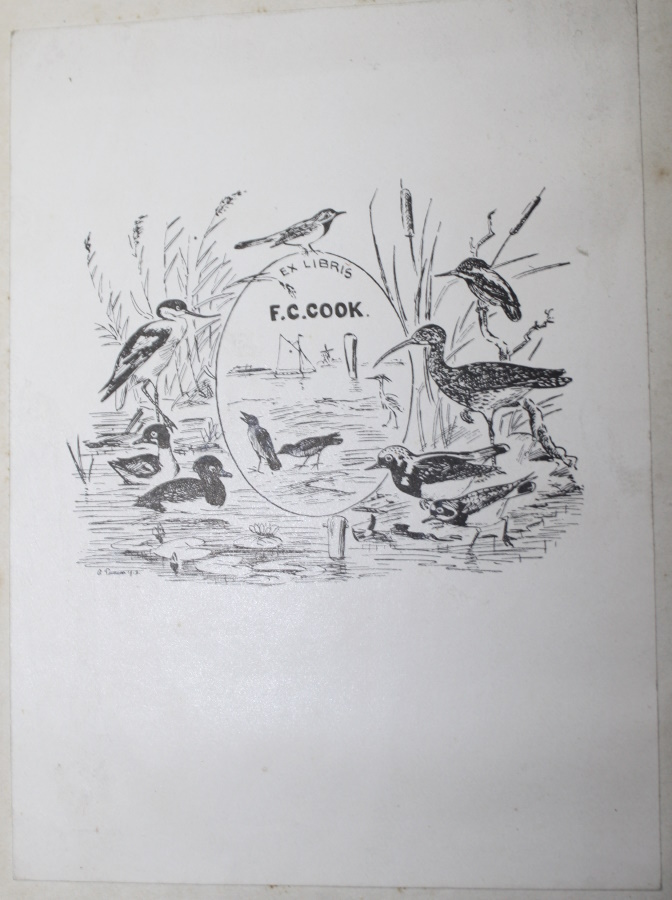 Newman, Edward (Ed.) - The Zoologist. A Popular Miscellany of Natural History. Vol. 2