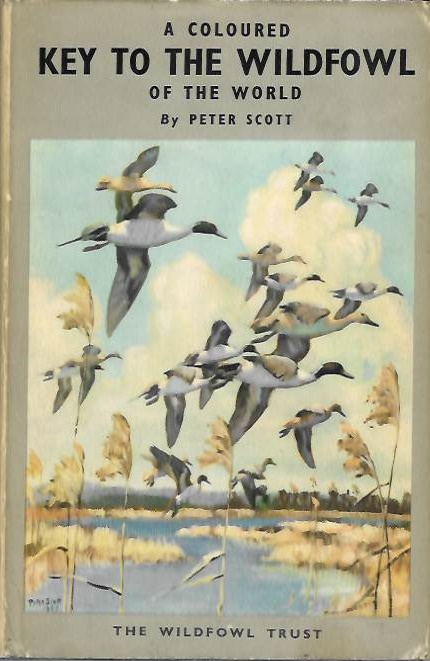 Scott, Peter - A Coloured Key to the Wildfowl of the World