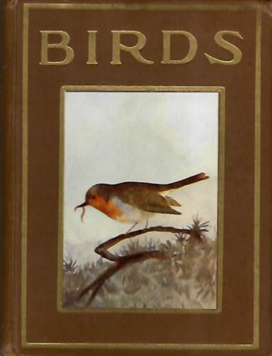 Scott, M.K.C.; Henderson, J.A. - Birds shown to the children