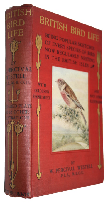 Westell, W. Percival - British Bird Life: Being popular sketches of every species of bird now regularly nesting in the British Isles