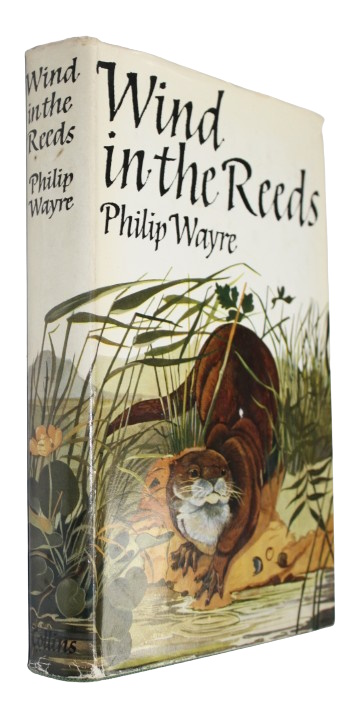 Wayre, P. - Wind in the Reeds