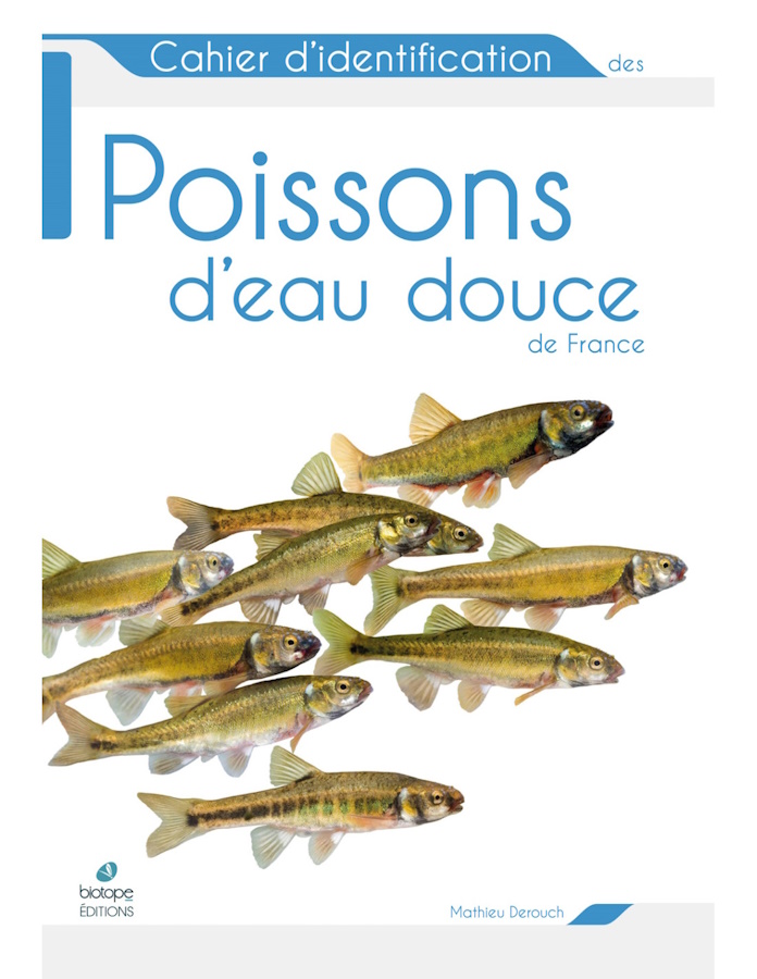 Derouch, M. - Cahier didentification des Poissons deau douce de France